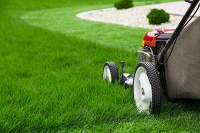 Keep Your Property Maintained with Senior Lawn Mowing Service!