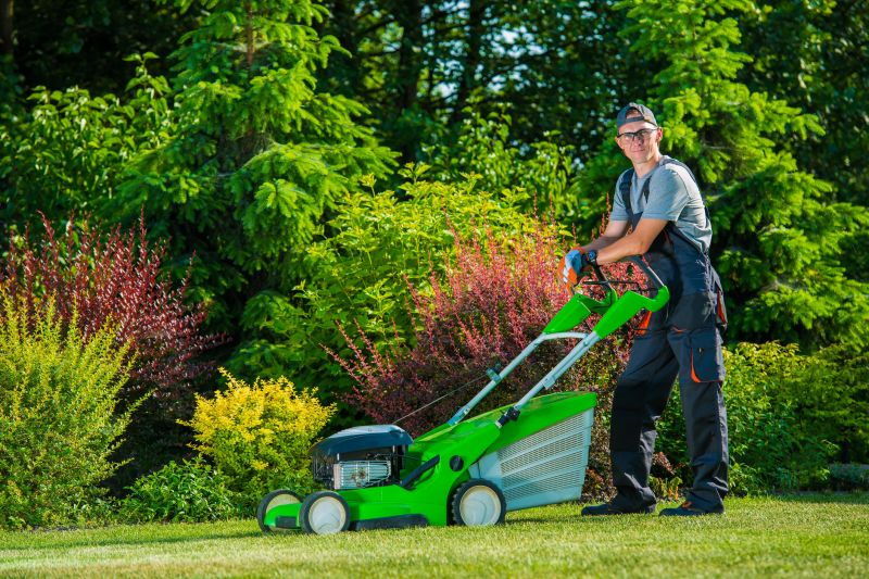 Senior Lawn Mowing