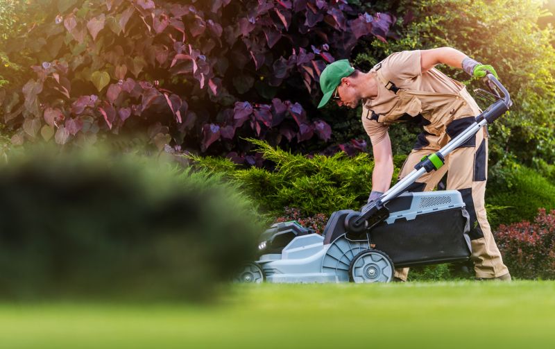 Senior Lawn Mowing