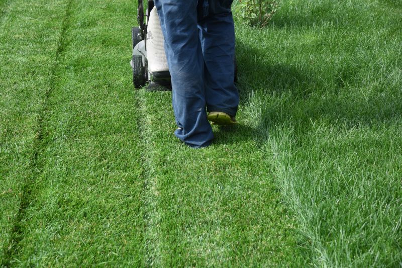 Senior Lawn Mowing
