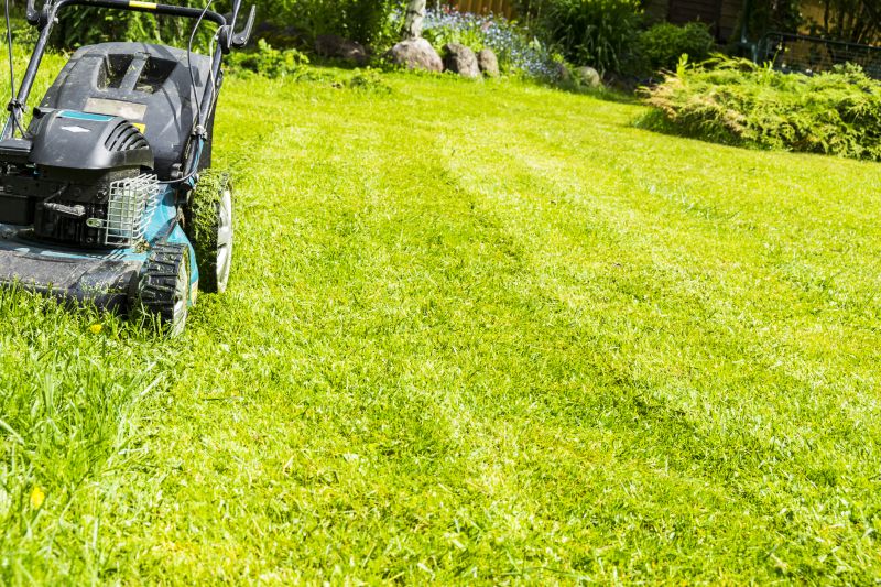 Brush Mowing Service in Prince Georges County, MD