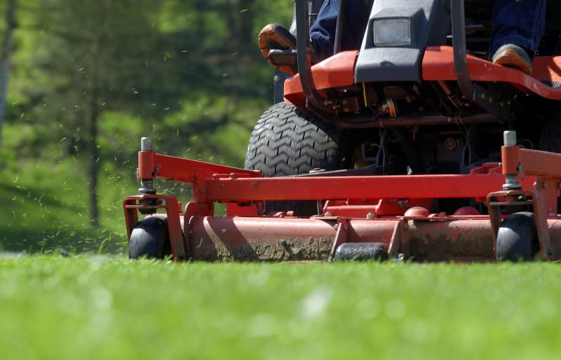 Brush Mowing Service in Calvert County, MD