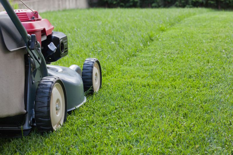 Fall Lawn Care in Bowie, MD