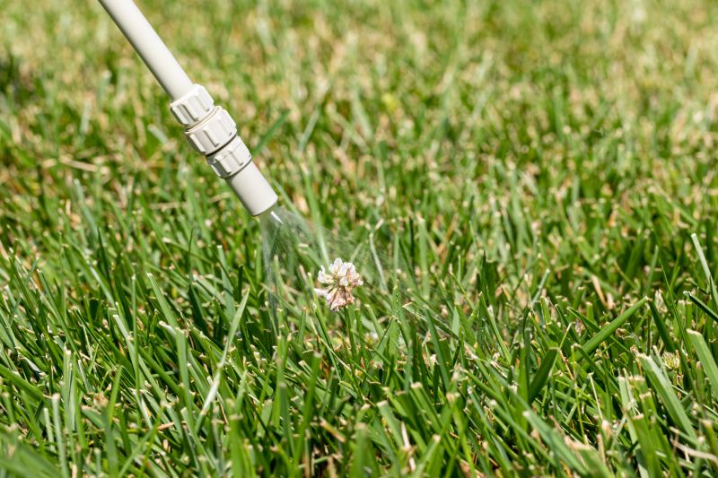 Lawn Spraying in Rockwall, TX