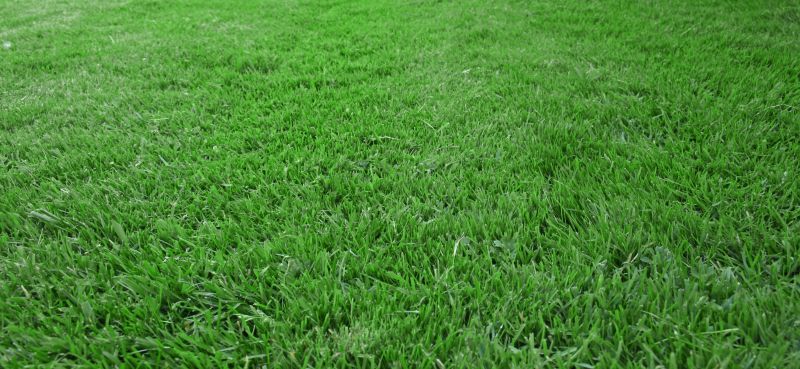 New Construction Lawn Seeding in Ventura County, CA