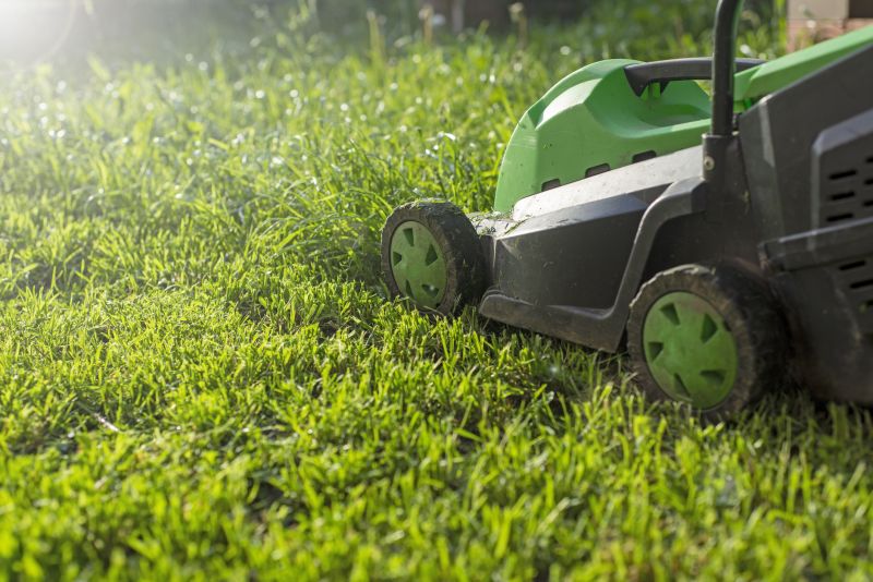 Senior Lawn Mowing Costs — Cost of Senior Lawn Mowing