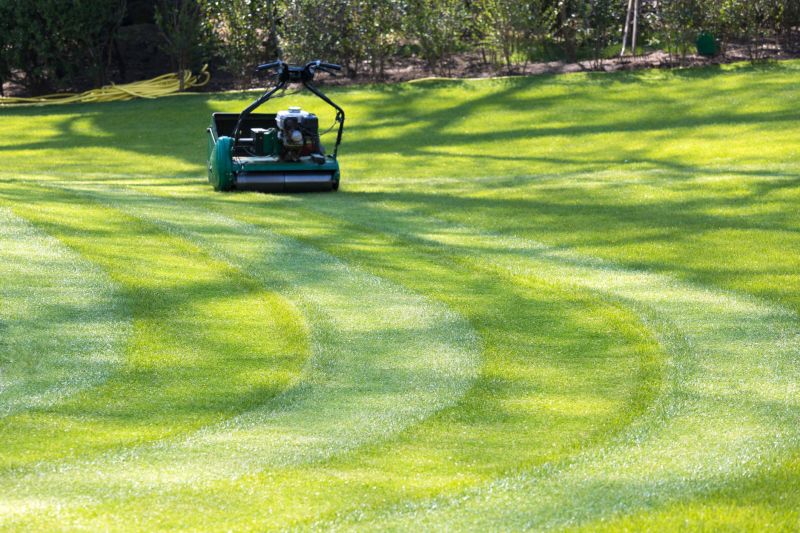 Senior Lawn Mowing Costs — Cost of Senior Lawn Mowing