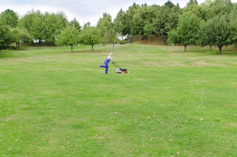 Lawn Mowing in Action