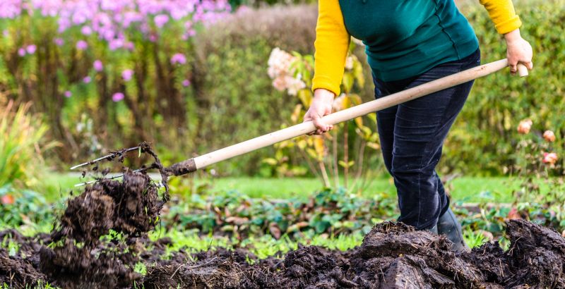 Soil Topdressing in Honolulu, HI