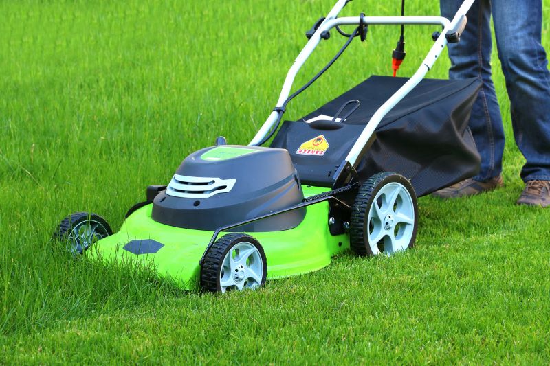 Tall Grass Mowing in Bowie, MD