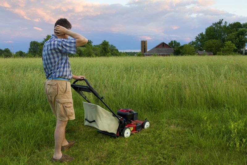 The Difference Professional Lawn Mowing Makes