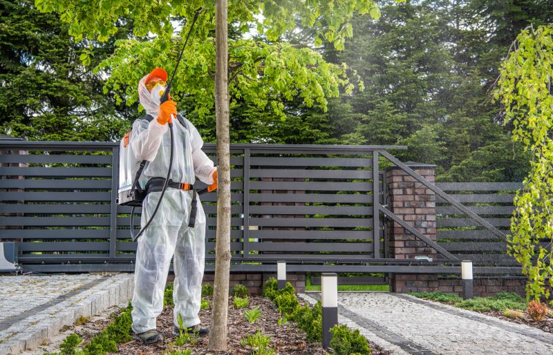 Thistle Control in Aiken, SC