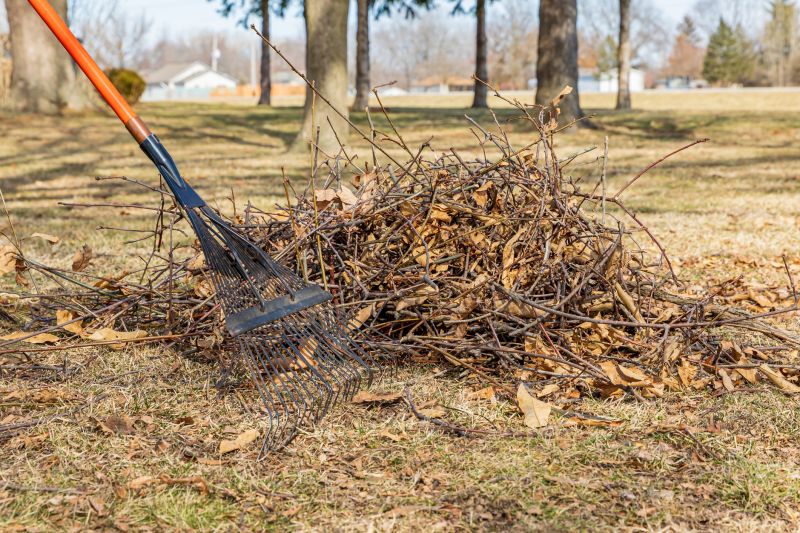 Tree Debris Removal in Honolulu, HI