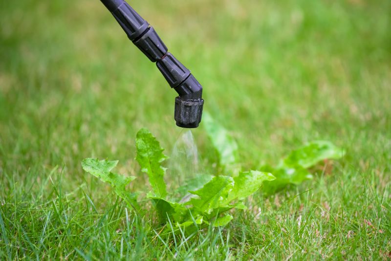 Weed Spraying in Honolulu, HI