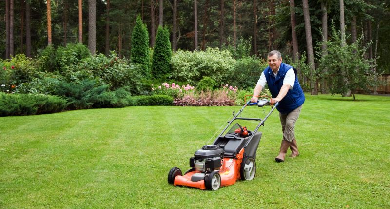 Affordable Lawn Care