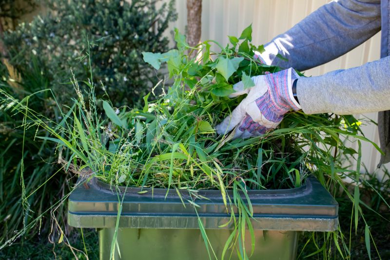 Yard Cleanup Service in Honolulu, HI